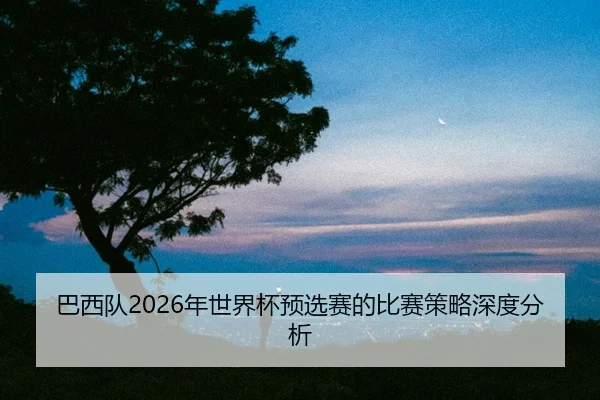ba-xi-dui-nian-shi-jie-bei-yu-xuan-sai-de-bi-sai-ce-lve-shen-du-fen-xi-2-823.jpg