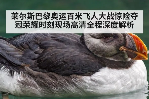 莱尔斯巴黎奥运百米飞人大战惊险夺冠荣耀时刻现场高清全程深度解析